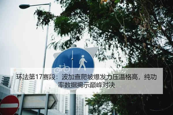 环法第17赛段：波加查爬坡爆发力压温格高，纯功率数据揭示巅峰对决