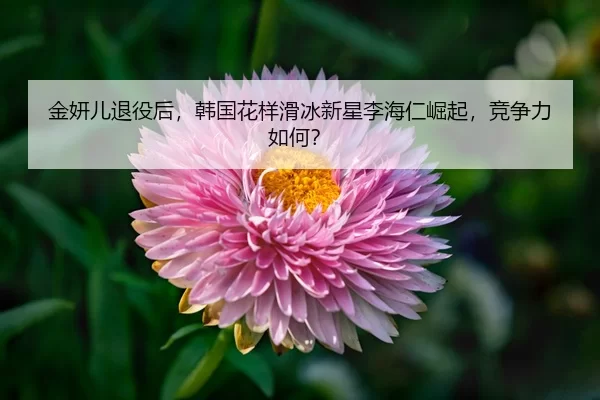 jin-yan-er-tui-yi-hou-han-guo-hua-yang-hua-bing-xin-xing-li-hai-ren-jue-qi-jing-zheng-li-ru-he-3-359.jpg