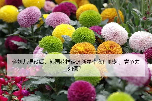 金妍儿退役后，韩国花样滑冰新星李海仁崛起，竞争力如何？