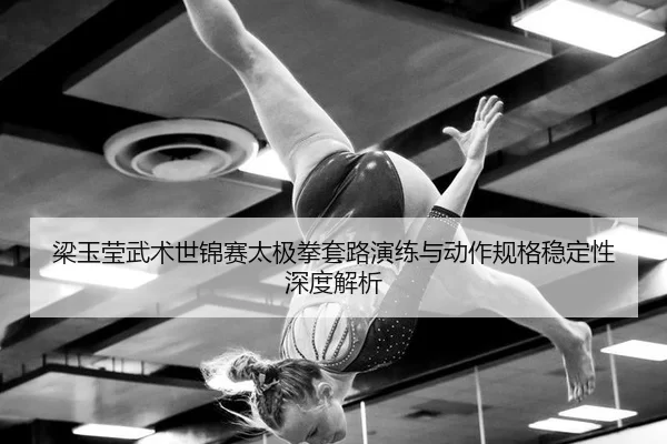 liang-yu-ying-wu-shu-shi-jin-sai-tai-ji-quan-tao-lu-yan-lian-yu-dong-zuo-gui-ge-wen-ding-xing-shen-du-jie-xi-2-419.jpg