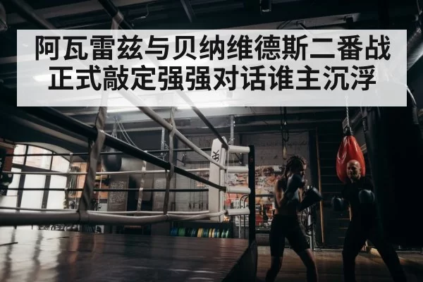 boxer training